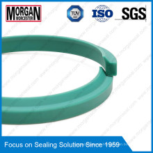 P1 Profile NBR/FKM hydraulic Cylinder Rubber Dust Seal Ring